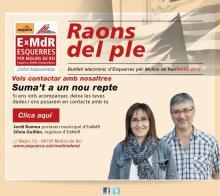 Raons del Ple