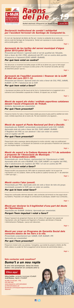 Raons del Ple núm. 19  Juliol 2013